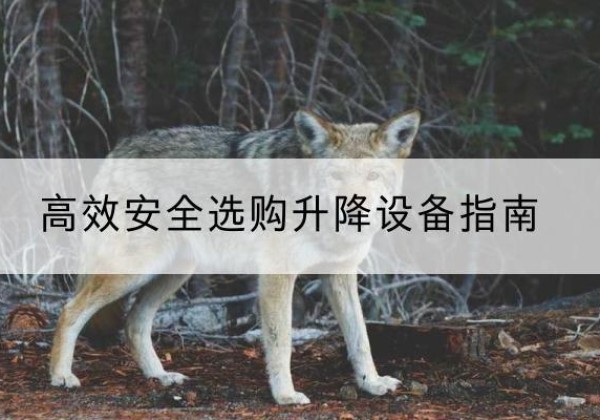 雁山升降货梯厂家推荐-*安全选购升降设备指南