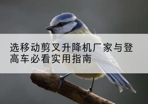 雁山电动升降机厂家-选移动剪叉升降机厂家与登高车必看实用指南