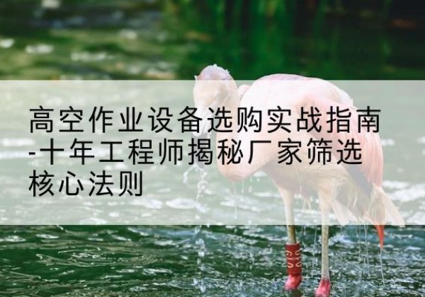 雁山剪叉式升降机厂家-高空作业设备选购实战指南-十年工程师揭秘厂家筛选核心法则